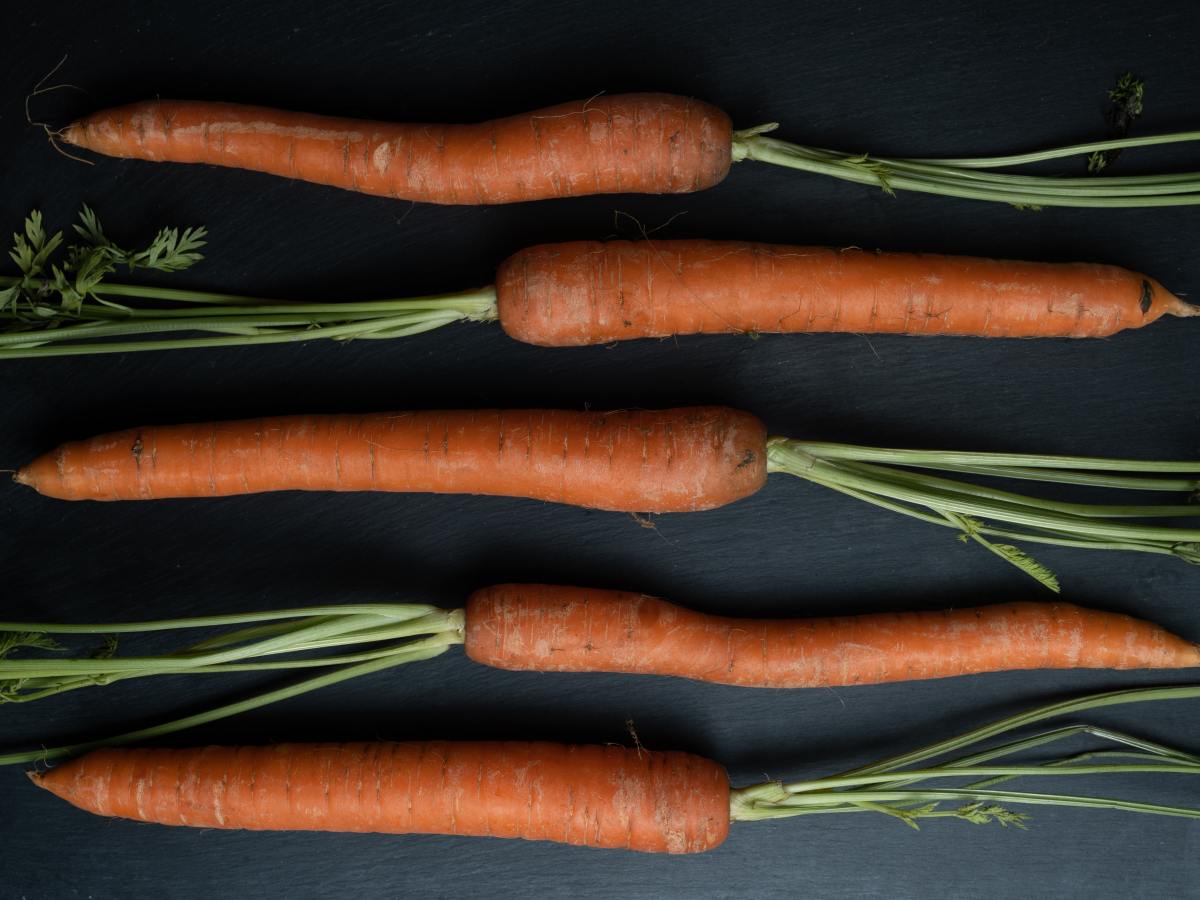 Huge Carrots