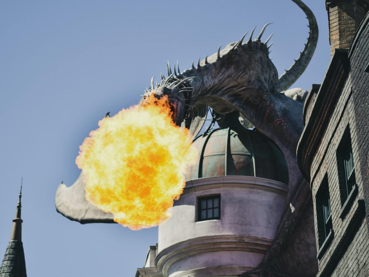 Dragon’s Health Problems